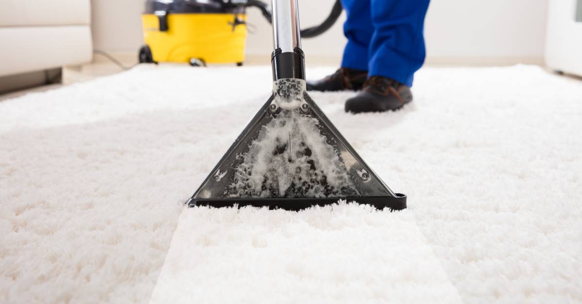 Hot Water Extraction Carpet Cleaning Clean USA