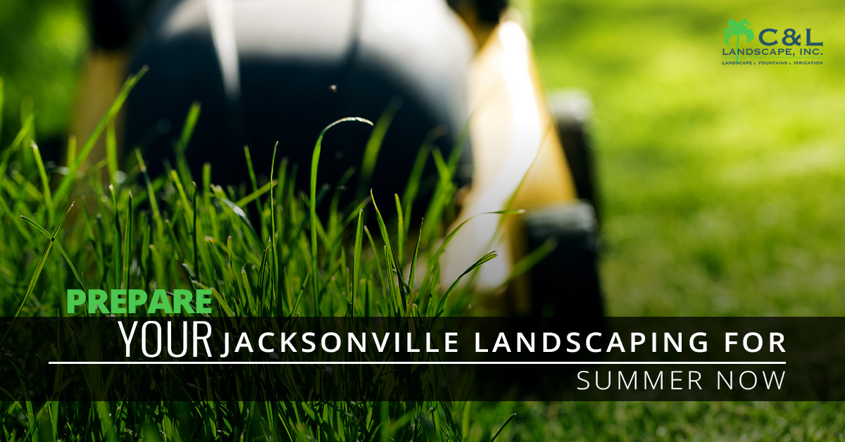 Residential Landscaping Jacksonville Get Ready For Summer With These