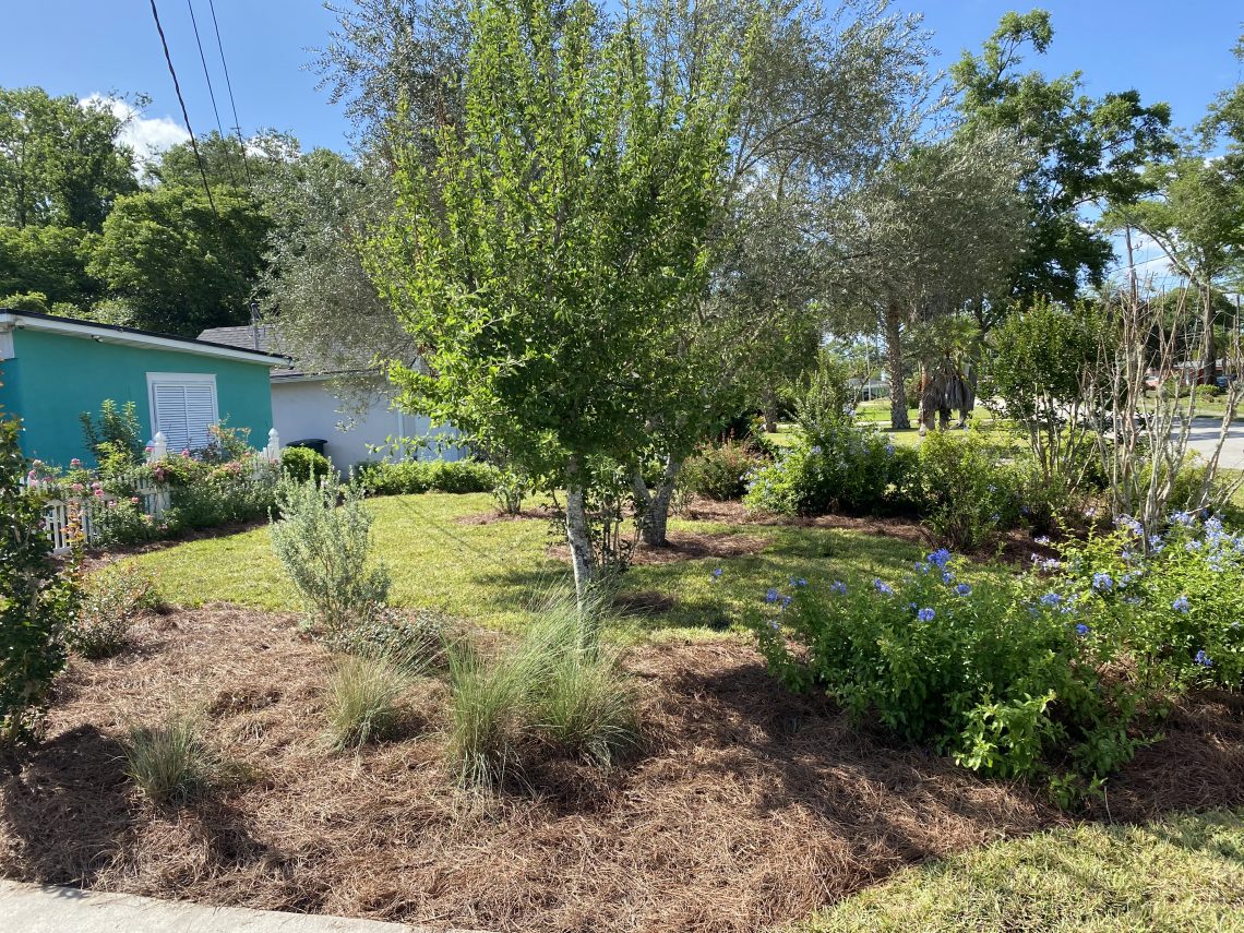 Residential Landscaping Jacksonville, FL See What We Can Do! C & L