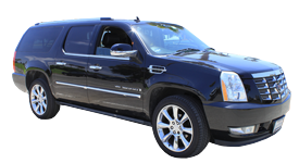 Nobody can match our transportation services.
