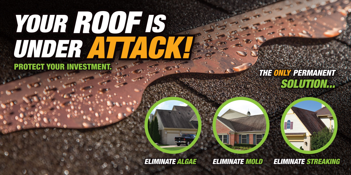 Copper Cat Get rid of the algae on your roof. Shop now! / Home