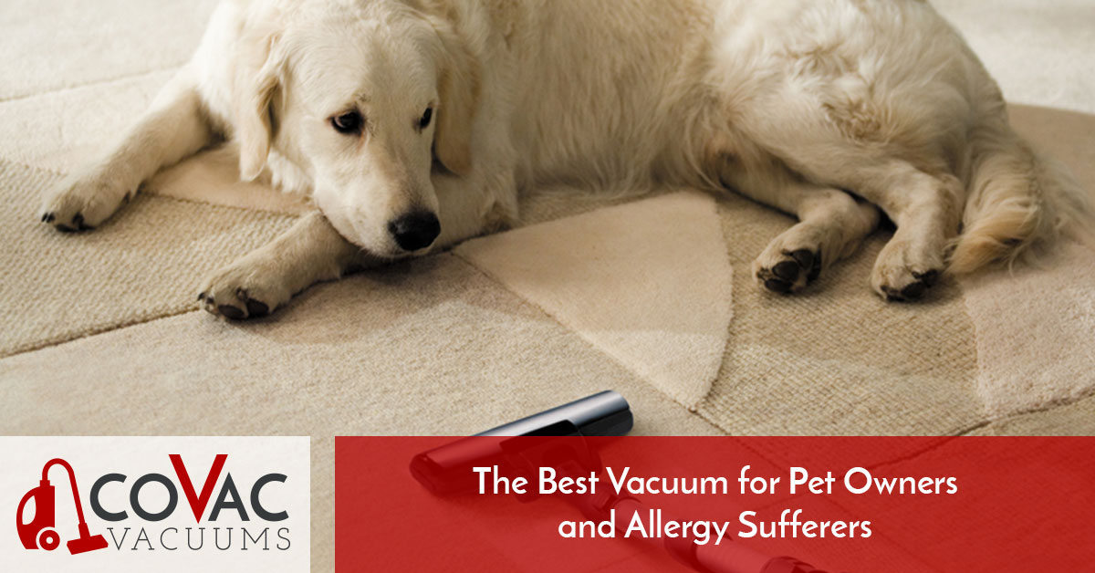 Best Vacuum Cleaner For Pet Hair Miele Vacuums Help Allergy