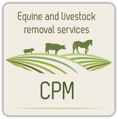 Animal Removal Sensitive Equine And Livestock Removal In Santa Clara