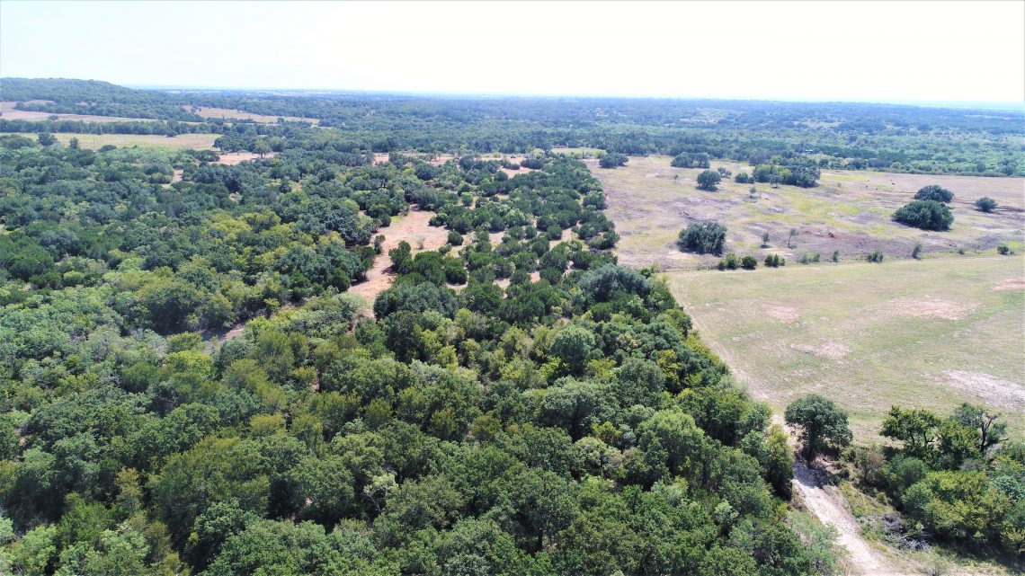 Rural Land Near Desdemona, Texas1032 Acre Tracts Available Buy Now!