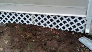 animal pest control proofing knoxville tn