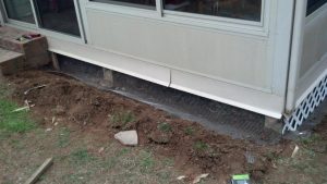 animal removal services powell tn
