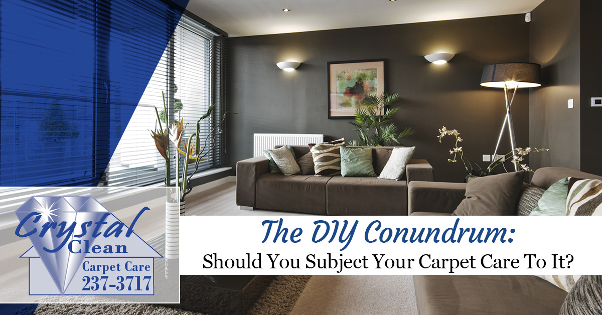 The Diy Conundrum Should Your Subject Your Carpet Care To It