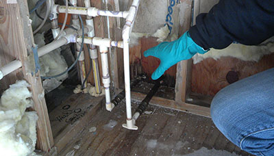 Mold Inspection And Remediation