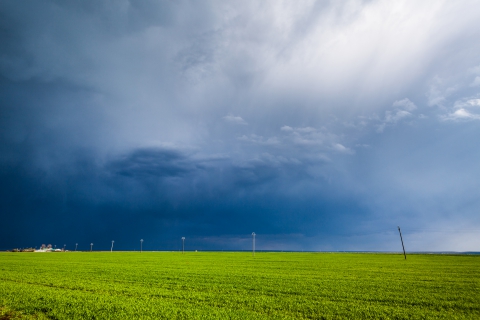 cumulonimbus