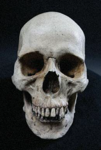 Long after all other parts of the body have decayed, teeth remain because they are the hardest substance in the human body, even harder than bone.