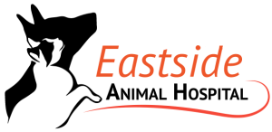 Eastside Animal Hospital