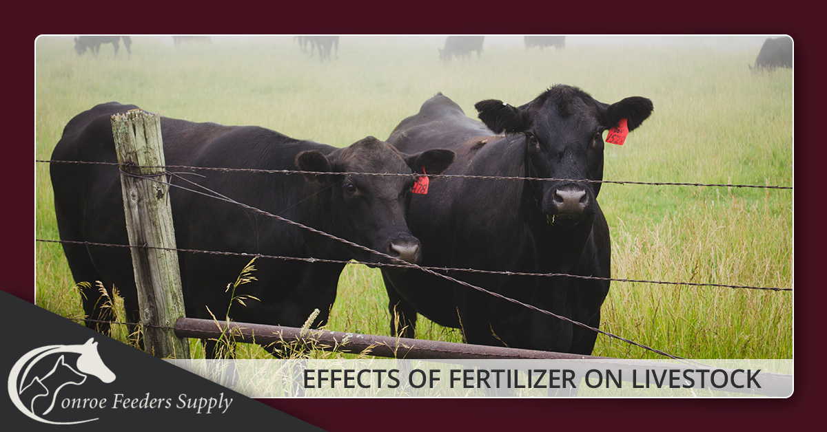 Pasture Fertilizer In Conroe Feed Your Pasture And Your
