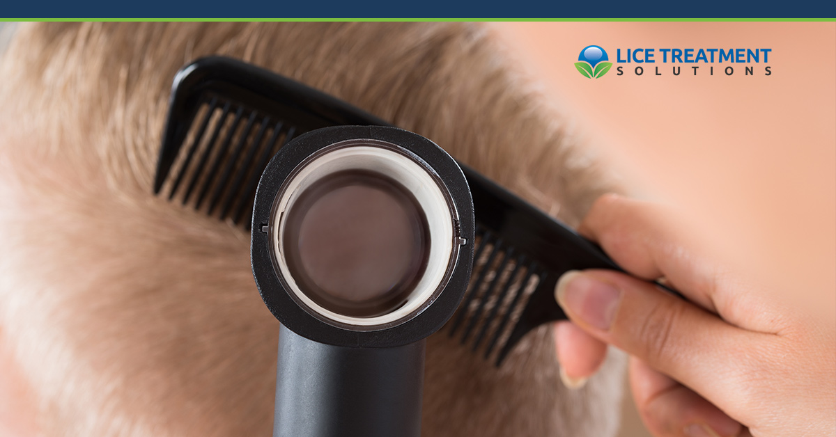 Head Lice Treatment The Difference Between Dandruff Lice Part One