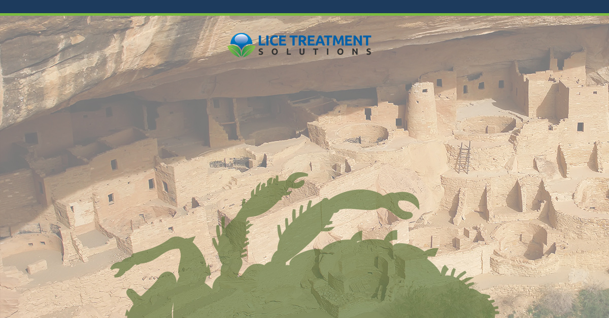 Head Lice Treatment The Origin of Head Lice, Typhus & Trench Fever