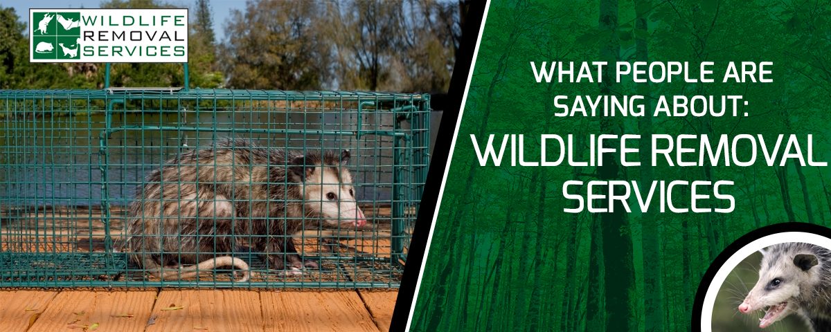 San Diego Animal Control What People Are Saying About Us