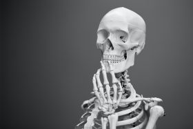 An anatomical reference model of a skeleton positioned to look as though it is stroking its chin in contemplation. Photo by Mathew Schwartz on Unsplash.