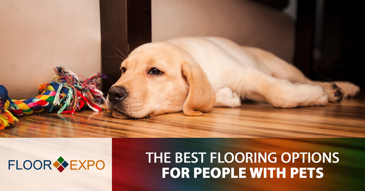Flooring Contractor New Jersey The Best Flooring Options for Pets