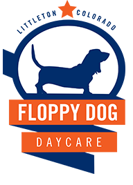 Floppy Dog Daycare