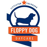 Floppy Dog Daycare