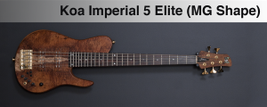 namm-8-title-photo