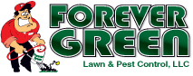 Forever Green