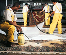 Rug Washing | Fred Remmers Rug Cleaners