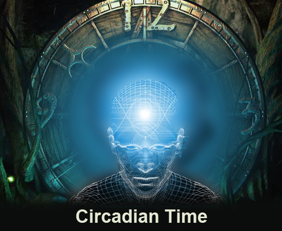 Circadian-Time-546