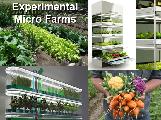 Micro-Agronomy-672