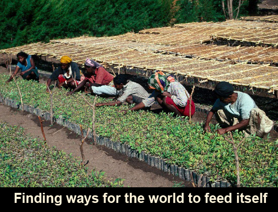 food-systems-africa-679