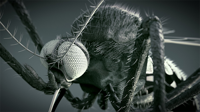 Will our future insects have parasitic nano-scouts living on their exteriors?