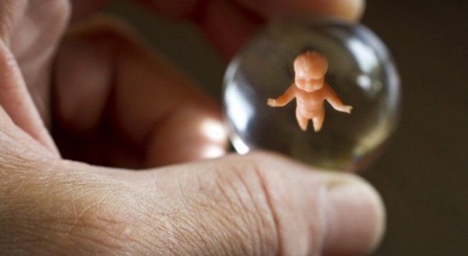Is a childbearing robot really such a farfetched idea?