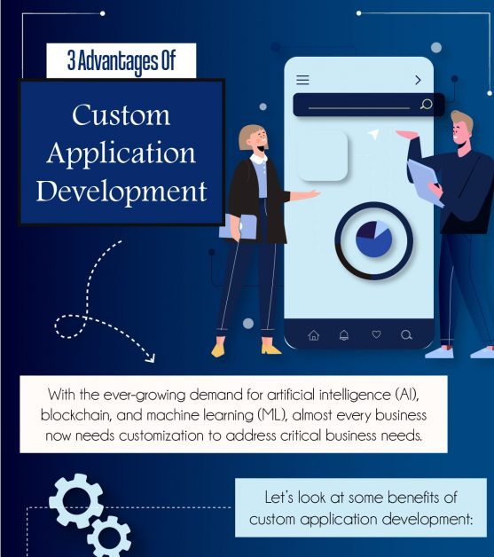 3 Advantages of Custom Application Development