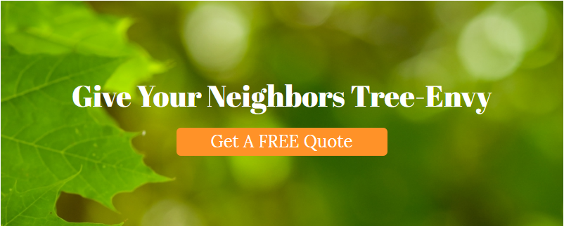 Growing Earth Tree Care & Maintenance Ashburn