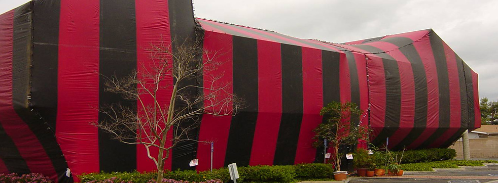Termite Tenting Safety Issues Explained Doityourself Com