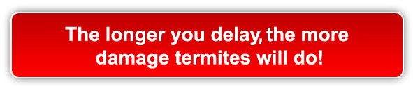 DO NOT DELAY