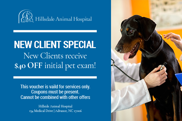 Hillsdale Animal Hospital - Give Your Pets The Care They Need