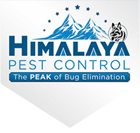 Himalaya Pest Control