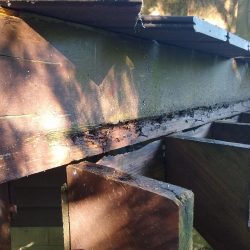 rotted steps
