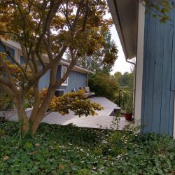 new composite Trex decking and landscape