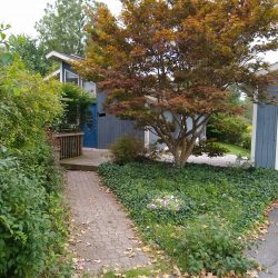 paving brick walkway