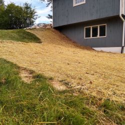 regraded hillside