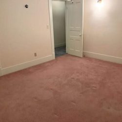 carpeted floor