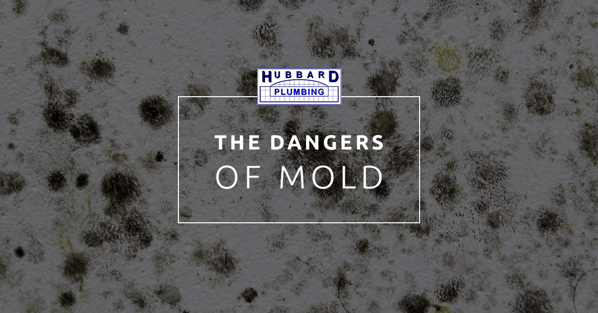 Plumbing Services Suffolk County The Dangers Of Mold