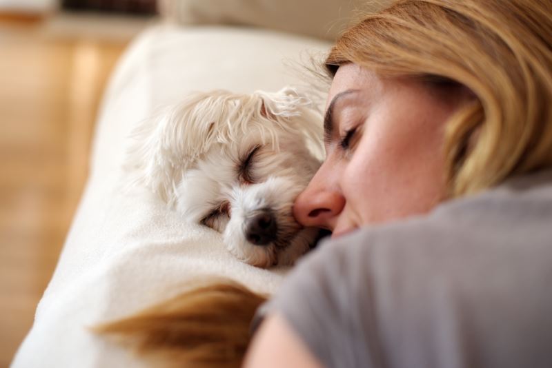 service dog and dog walker snuggling