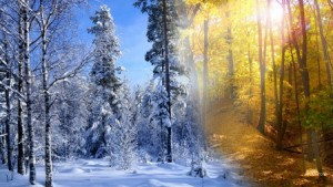 winter fall