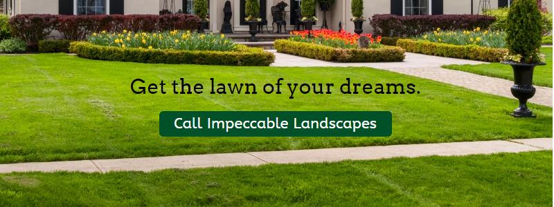 landscape companies near me