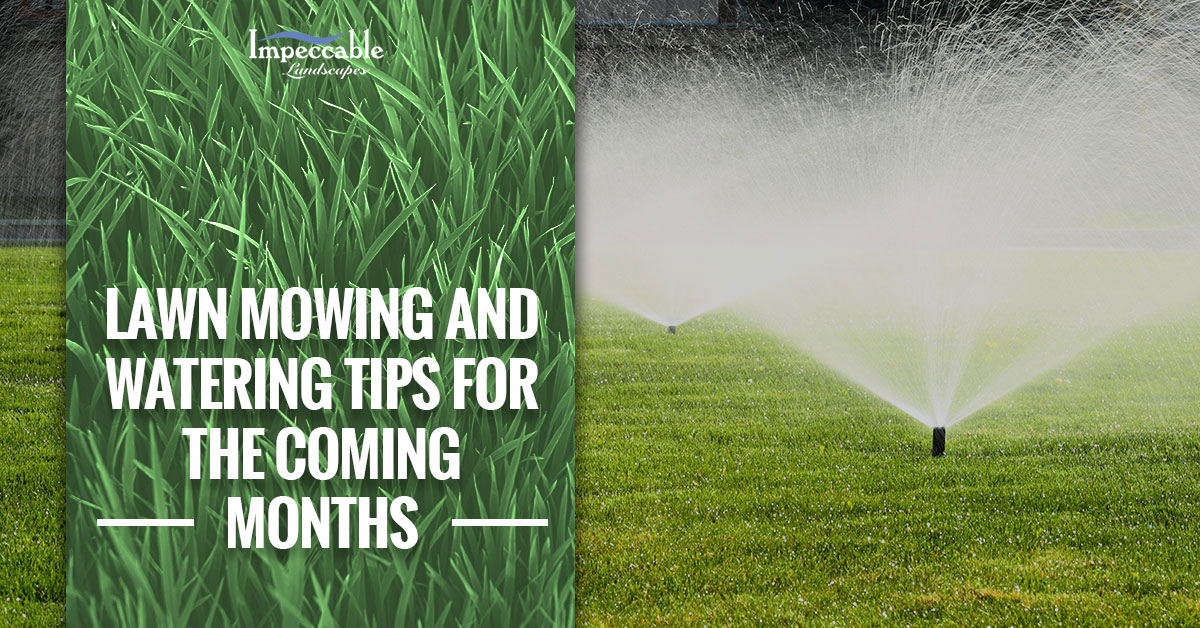 Lawn Care Spokane Mowing And Watering Tips For Spring And