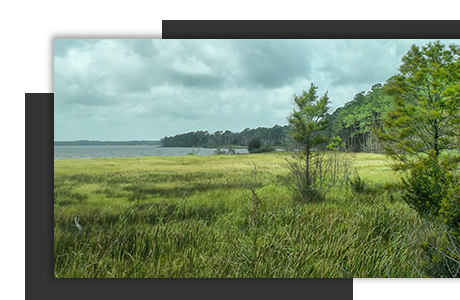 Realtor - Buy Or Sell Your Home In Ashland, MO | Iron Gate Real Estate