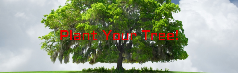 treecta