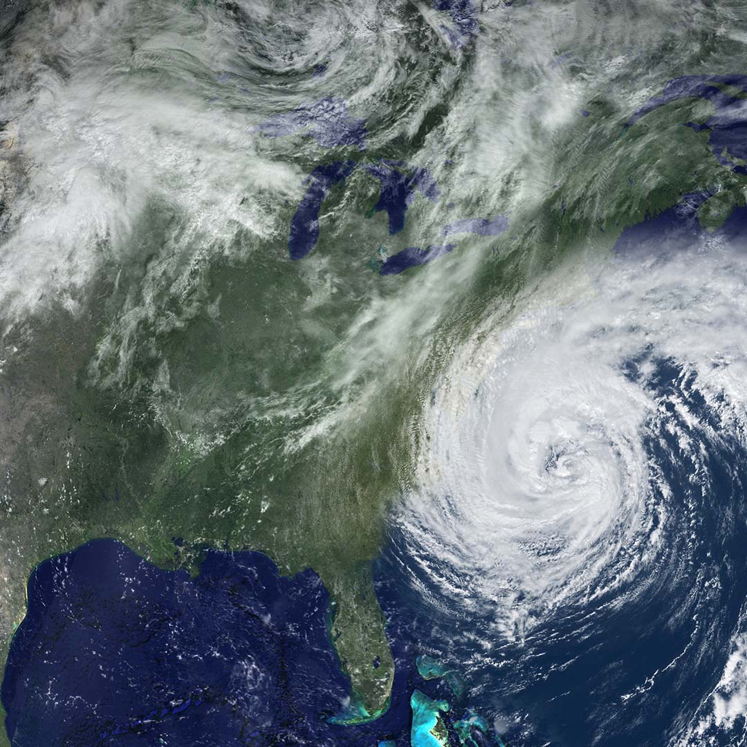 The Importance Of Trimming Your Trees In Preparation For Hurricane ...